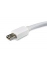 Equip 133440 adaptador de cable Mini DisplayPort DisplayPort Blanco