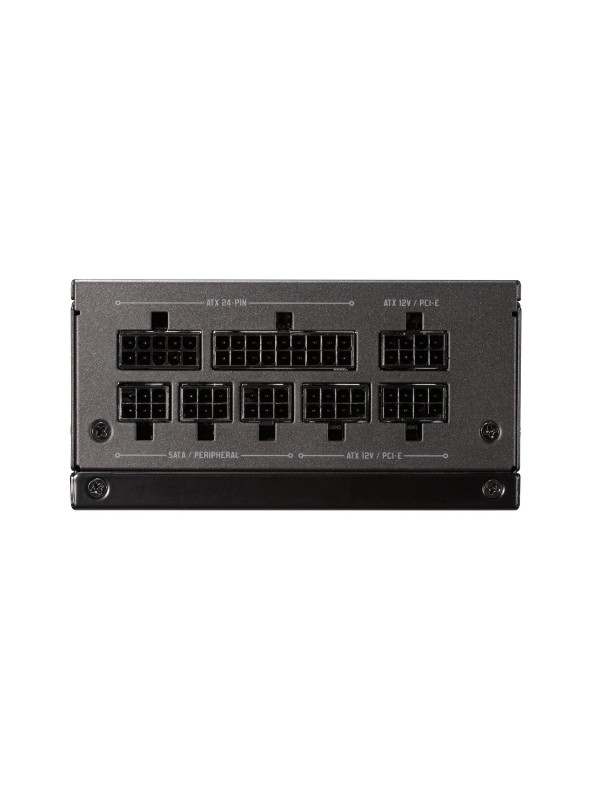 Fractal Design FD-PSU-ION-SFX-650G-BK unidad de fuente de alimentación 650 W 24-pin ATX Negro